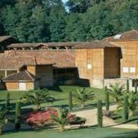 Maison Avec Piscine Proche Des Thermes Mauleon-D'armagnac Luaran gambar